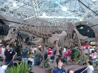 /album/galeria-de-fotos/exposi%c3%a7%c3%a3o%20dinossauros%20patagonia%20%281%29-jpg/